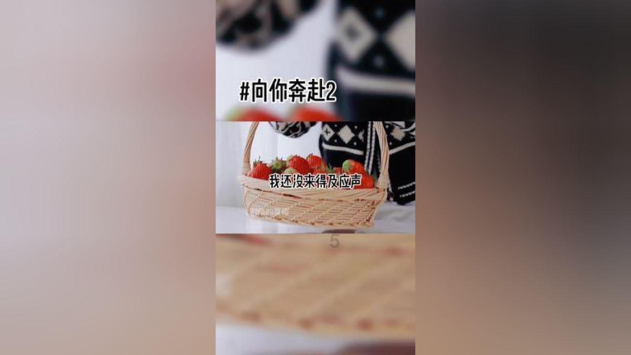 燃烧吧大脑免广告最新版